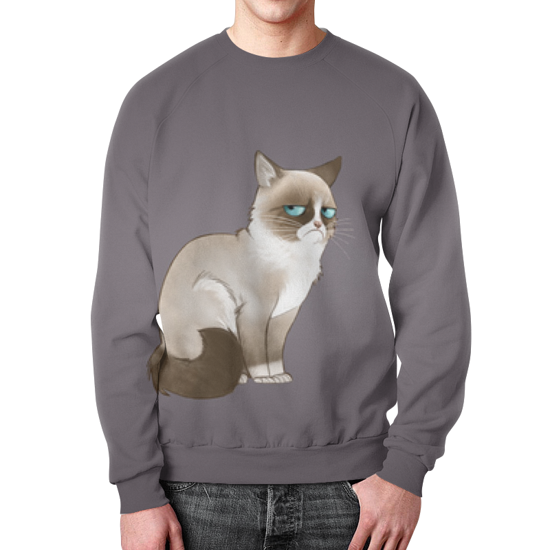 Printio Свитшот мужской с полной запечаткой Сердитый кот printio футболка с полной запечаткой мужская grumpy cat