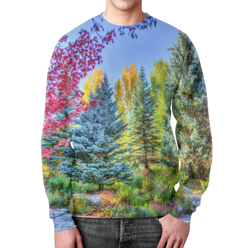 Printio Свитшот мужской с полной запечаткой Деревья в красках printio свитшот мужской с полной запечаткой деревья в горах