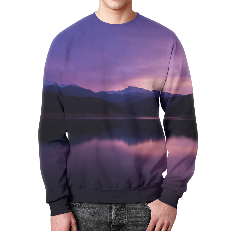 Printio Свитшот мужской с полной запечаткой Фиолетовый пейзаж