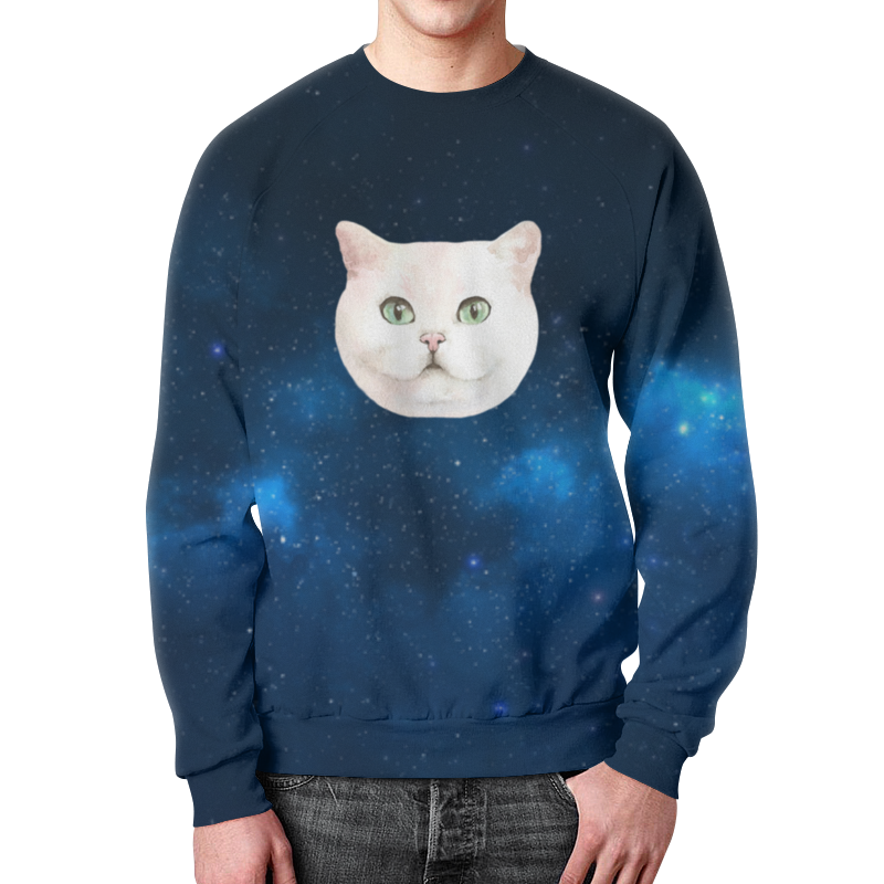 Printio Свитшот мужской с полной запечаткой Котик
