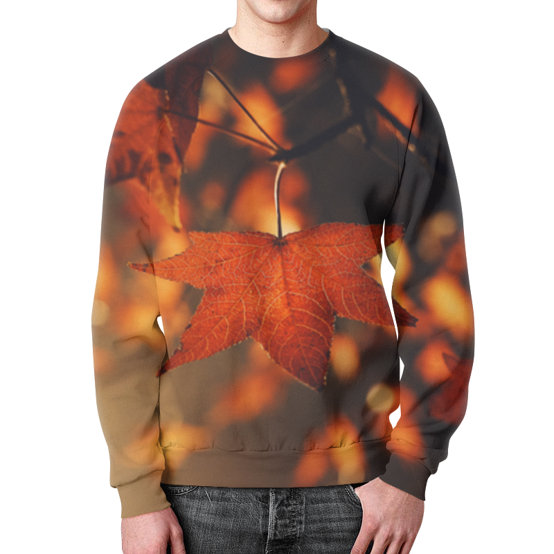 Printio Свитшот мужской с полной запечаткой Осень printio свитшот мужской с полной запечаткой осень