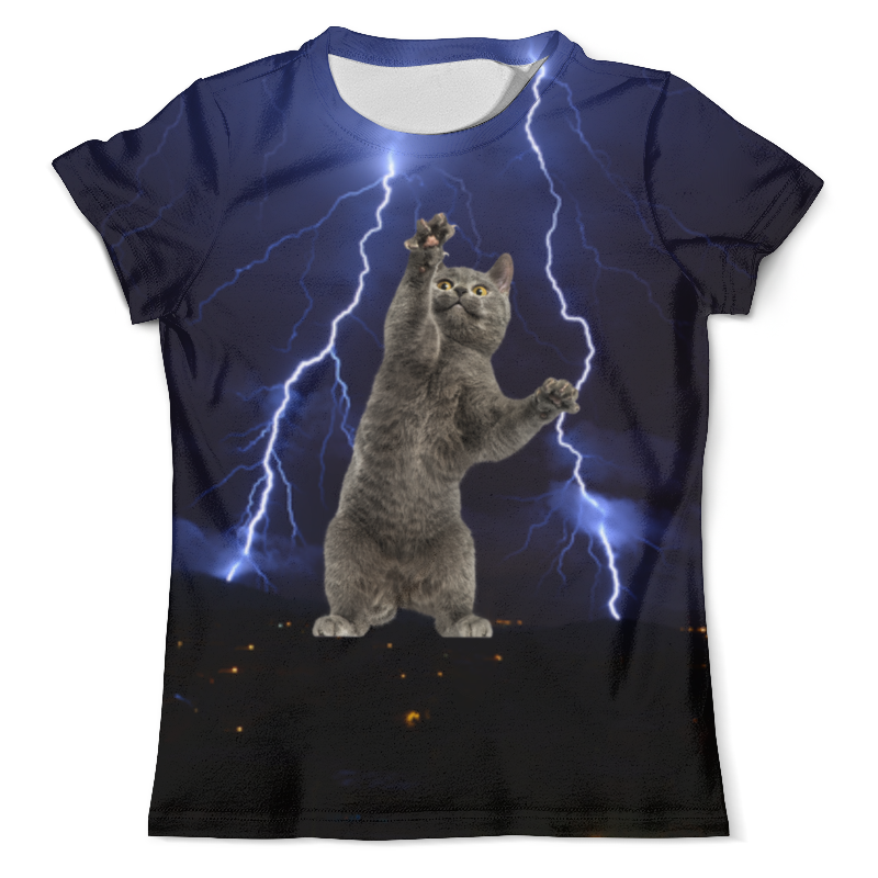 Printio Футболка с полной запечаткой (мужская) Кот и молния printio футболка с полной запечаткой мужская кот и молния