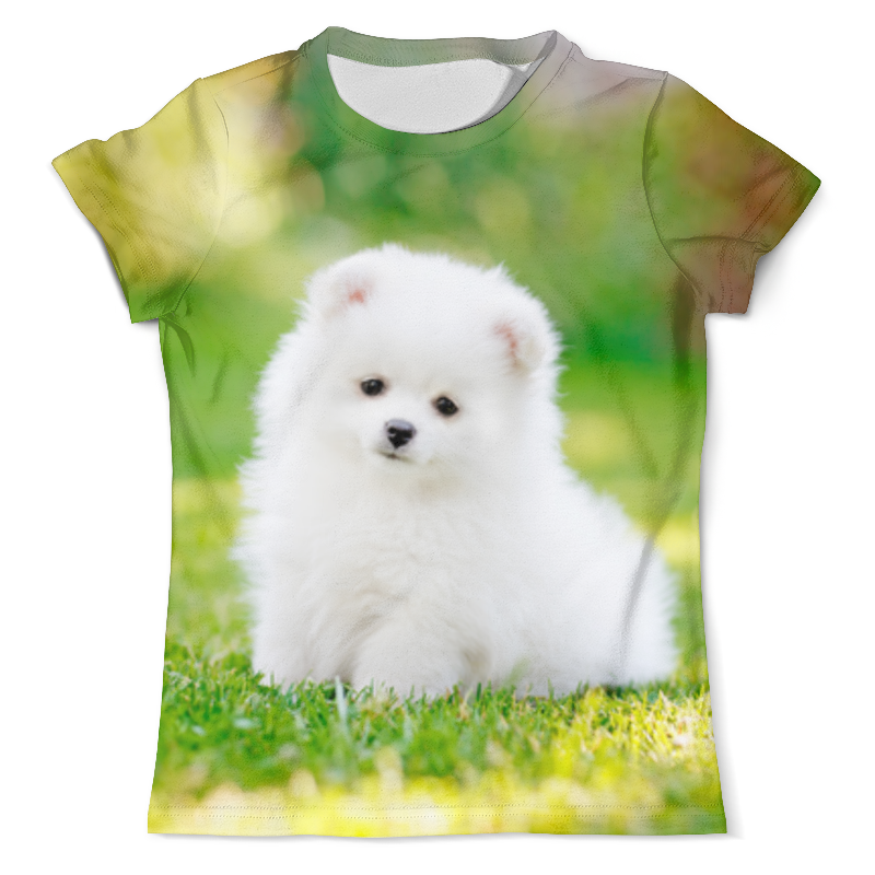 Printio Футболка с полной запечаткой (мужская) собачка printio футболка с полной запечаткой мужская собачка с попугаем