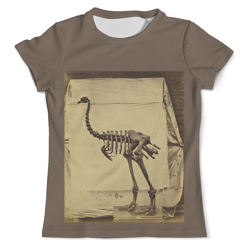 Printio Футболка с полной запечаткой (мужская) Скелет динозавра printio футболка с полной запечаткой мужская яйца динозавра