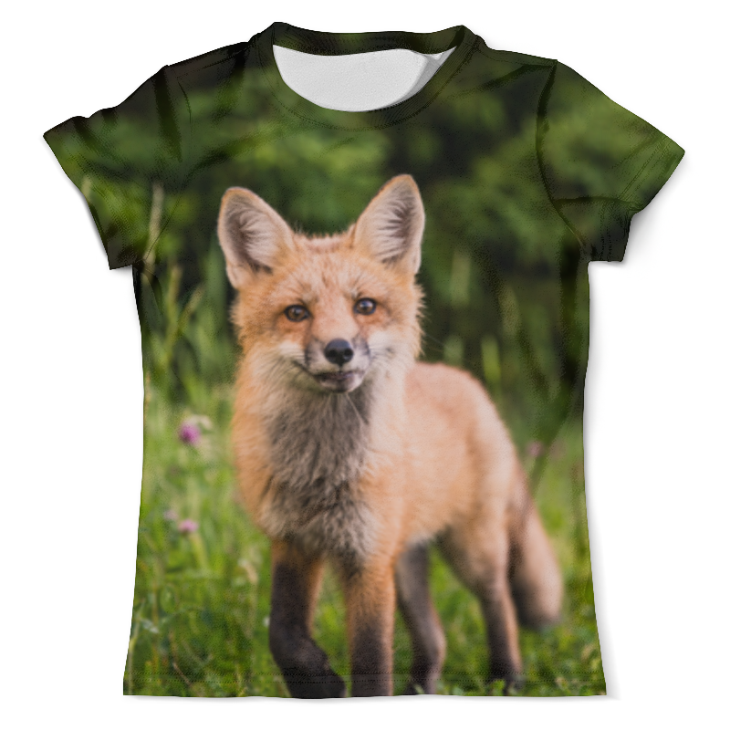 Printio Футболка с полной запечаткой (мужская) Лиса printio футболка с полной запечаткой мужская лиса в лесу