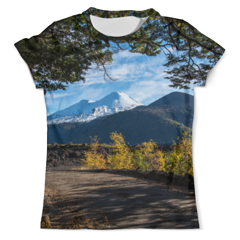 printio футболка с полной запечаткой мужская лесной пейзаж Printio Футболка с полной запечаткой (мужская) Пейзаж