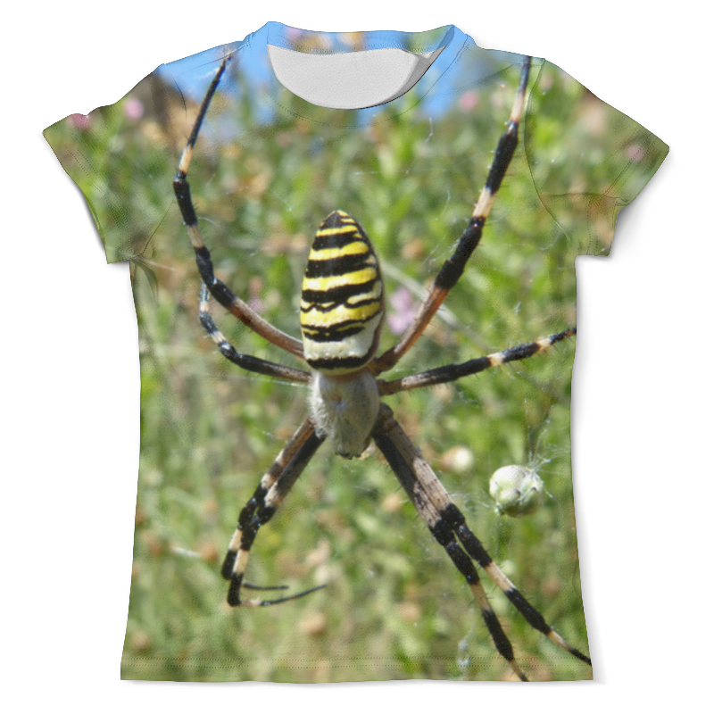 Printio Футболка с полной запечаткой (мужская) Паук на паутине printio футболка с полной запечаткой мужская черно белый паук
