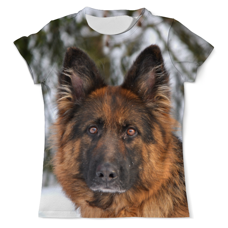 Printio Футболка с полной запечаткой (мужская) Зимний пес мужская футболка пес s желтый
