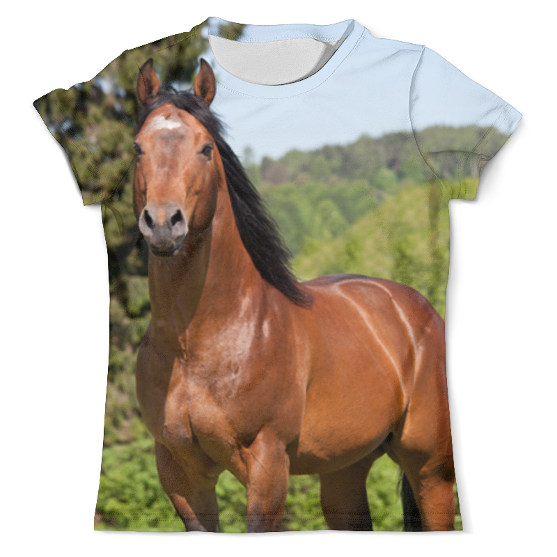 Printio Футболка с полной запечаткой (мужская) Лошади printio футболка с полной запечаткой мужская коррида или мертвые лошади карбо