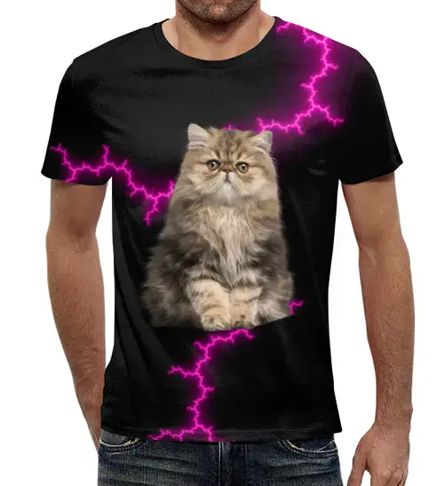 Заказать мужскую футболку в Москве. Футболка с полной запечаткой (мужская) Кот и молния от THE_NISE  - готовые дизайны и нанесение принтов.