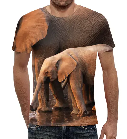 Заказать мужскую футболку в Москве. Футболка с полной запечаткой (мужская) Слоны от THE_NISE  - готовые дизайны и нанесение принтов.
