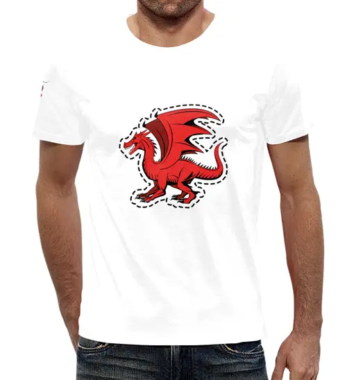 Заказать мужскую футболку в Москве. Футболка с полной запечаткой (мужская) дракон от THE_NISE  - готовые дизайны и нанесение принтов.