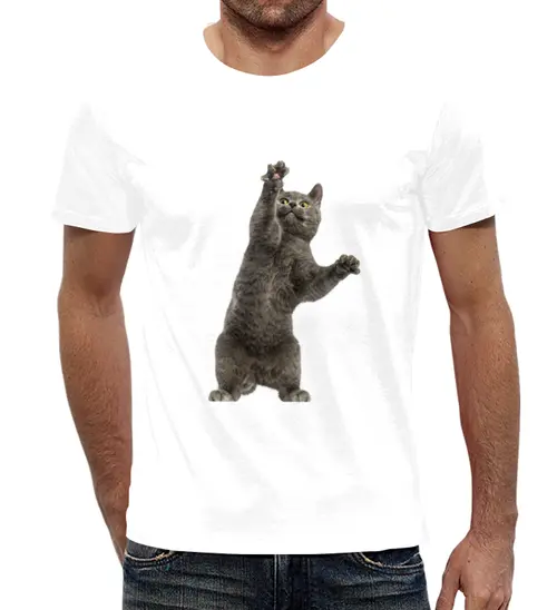 Заказать мужскую футболку в Москве. Футболка с полной запечаткой (мужская) Котик от THE_NISE  - готовые дизайны и нанесение принтов.