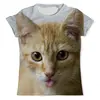 Заказать мужскую футболку в Москве. Футболка с полной запечаткой (мужская) Кот кот от cherdantcev - готовые дизайны и нанесение принтов.