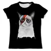 Заказать мужскую футболку в Москве. Футболка с полной запечаткой (мужская) Grumpy Cat x David Bowie от Amerikanka - готовые дизайны и нанесение принтов.