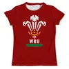 Заказать мужскую футболку в Москве. Футболка с полной запечаткой (мужская) Уэльс регби  от rugby - готовые дизайны и нанесение принтов.