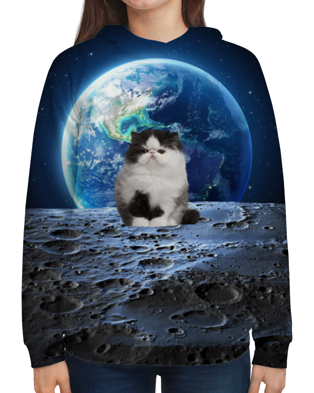 Printio Толстовка с полной запечаткой Кот в космосе printio толстовка с полной запечаткой кот в космосе