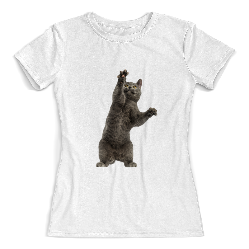 Printio Футболка с полной запечаткой (женская) Котик printio футболка с полной запечаткой женская котик с ромашками