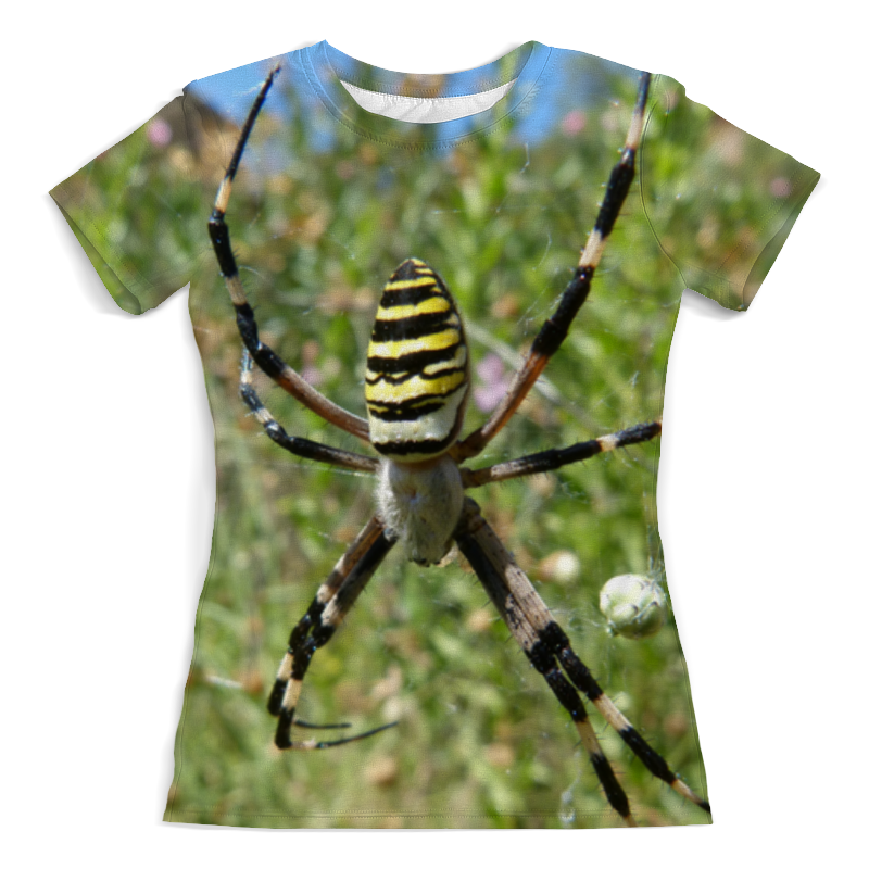 Printio Футболка с полной запечаткой (женская) Паук на паутине printio футболка с полной запечаткой женская паук на паутине