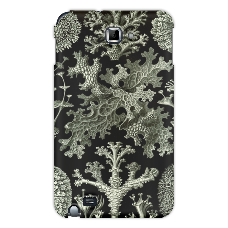 Printio Чехол для Samsung Galaxy Note Лишайники (lichenes, ernst haeckel) printio часы круглые из дерева лишайники lichenes ernst haeckel