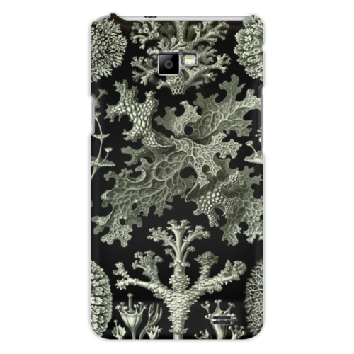 Заказать чехол для Samsung в Москве. Чехол для Samsung Galaxy S2 Лишайники (Lichenes, Ernst Haeckel) от Apfelbaum - готовые дизайны и нанесение принтов.