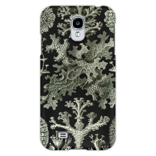 Заказать чехол для Samsung в Москве. Чехол для Samsung Galaxy S4 Лишайники (Lichenes, Ernst Haeckel) от Apfelbaum - готовые дизайны и нанесение принтов.
