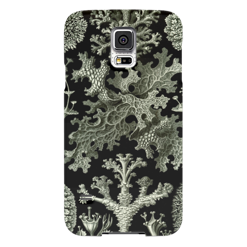 Заказать чехол для Samsung в Москве. Чехол для Samsung Galaxy S5 Лишайники (Lichenes, Ernst Haeckel) от Apfelbaum - готовые дизайны и нанесение принтов.