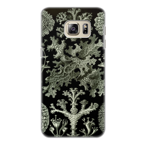 Заказать чехол для Samsung Galaxy S6/S6 Edge в Москве. Чехол для Samsung Galaxy S6 Edge, объёмная печать Лишайники (Lichenes, Ernst Haeckel) от Apfelbaum - готовые дизайны и нанесение принтов.