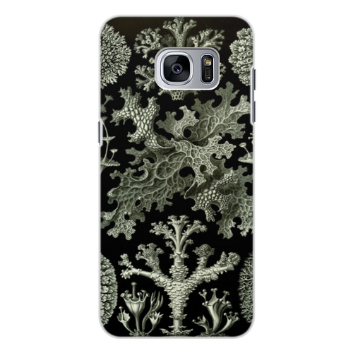Заказать чехол для Samsung Galaxy S7/S7 Edge в Москве. Чехол для Samsung Galaxy S7, объёмная печать Лишайники (Lichenes, Ernst Haeckel) от Apfelbaum - готовые дизайны и нанесение принтов.