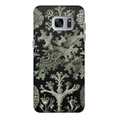 Заказать чехол для Samsung Galaxy S7/S7 Edge в Москве. Чехол для Samsung Galaxy S7 Edge кожаный Лишайники (Lichenes, Ernst Haeckel) от Apfelbaum - готовые дизайны и нанесение принтов.