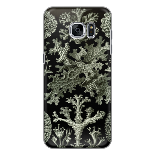 Заказать чехол для Samsung Galaxy S7/S7 Edge в Москве. Чехол для Samsung Galaxy S7 Edge силиконовый Лишайники (Lichenes, Ernst Haeckel) от Apfelbaum - готовые дизайны и нанесение принтов.