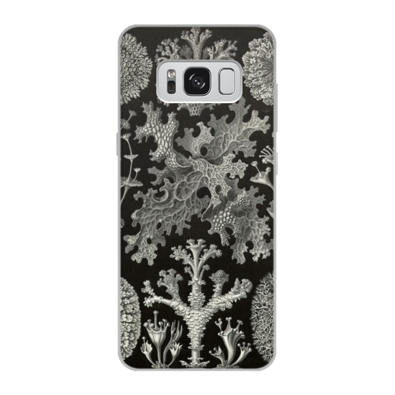 Printio Чехол для Samsung Galaxy S8, объёмная печать Лишайники (lichenes, ernst haeckel) printio чехол для samsung galaxy note 2 лишайники lichenes ernst haeckel