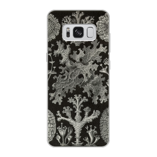 Заказать чехол для Samsung Galaxy S8/S8 Plus в Москве. Чехол для Samsung Galaxy S8 кожаный Лишайники (Lichenes, Ernst Haeckel) от Apfelbaum - готовые дизайны и нанесение принтов.