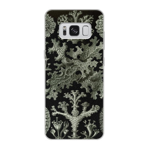 Заказать чехол для Samsung Galaxy S8/S8 Plus в Москве. Чехол для Samsung Galaxy S8 кожаный Лишайники (Lichenes, Ernst Haeckel) от Apfelbaum - готовые дизайны и нанесение принтов.