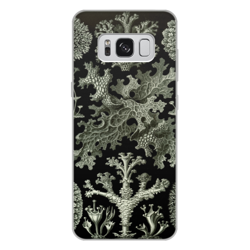Printio Чехол для Samsung Galaxy S8 Plus, объёмная печать Лишайники (lichenes, ernst haeckel) printio чехол для samsung galaxy s8 объёмная печать телефонная будка красная крутой красивый телефон