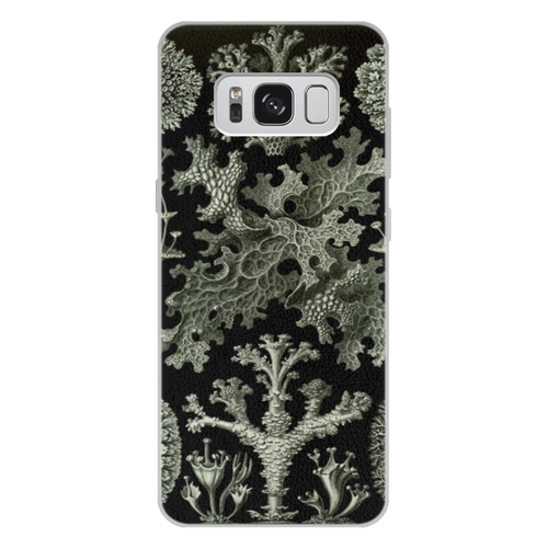 Заказать чехол для Samsung Galaxy S8/S8 Plus в Москве. Чехол для Samsung Galaxy S8 Plus кожаный Лишайники (Lichenes, Ernst Haeckel) от Apfelbaum - готовые дизайны и нанесение принтов.