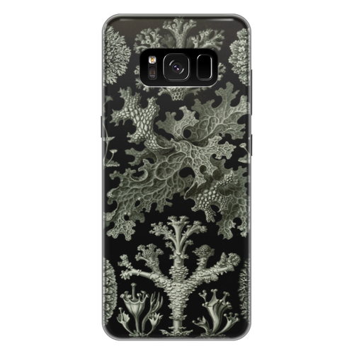 Заказать чехол для Samsung Galaxy S8/S8 Plus в Москве. Чехол для Samsung Galaxy S8 Plus силиконовый Лишайники (Lichenes, Ernst Haeckel) от Apfelbaum - готовые дизайны и нанесение принтов.