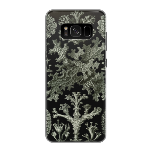 Заказать чехол для Samsung Galaxy S8/S8 Plus в Москве. Чехол для Samsung Galaxy S8 силиконовый Лишайники (Lichenes, Ernst Haeckel) от Apfelbaum - готовые дизайны и нанесение принтов.