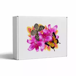 Подарочная коробка белая 33x23x10см