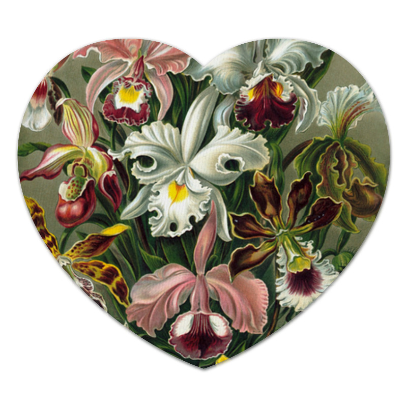 Printio Коврик для мышки (сердце) Орхидеи эрнста геккеля