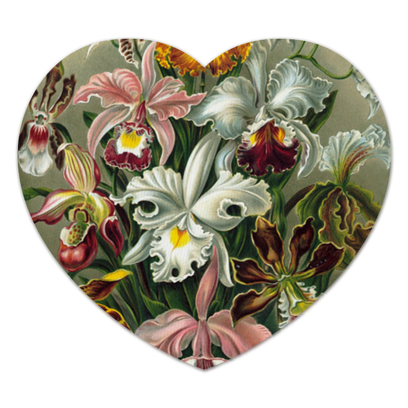 Printio Коврик для мышки (сердце) Орхидеи (orchideae, ernst haeckel)