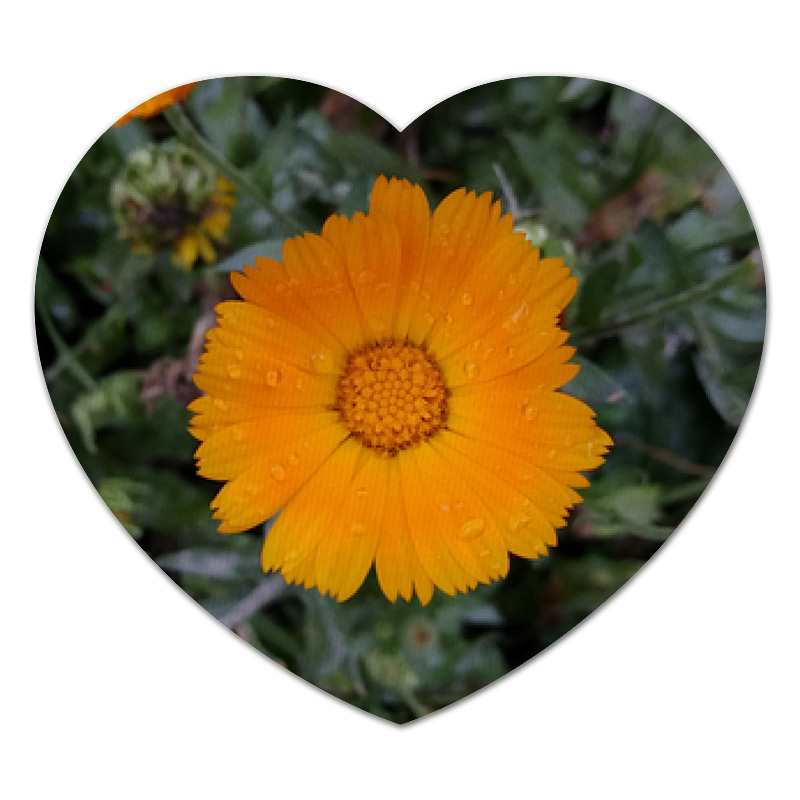 Printio Коврик для мышки (сердце) Летние цветы
