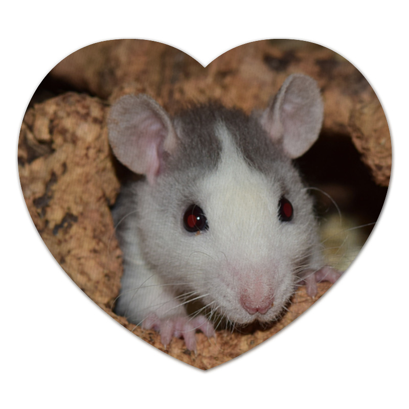 Printio Коврик для мышки (сердце) Крыса символ 2020 года