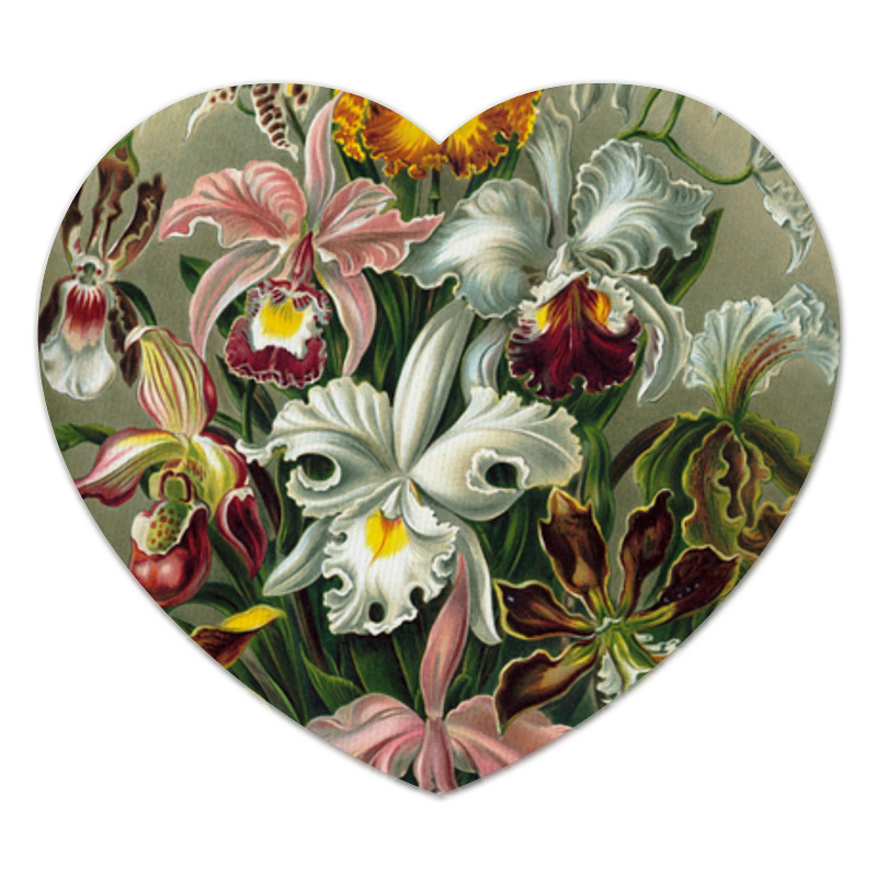 Printio Коврик для мышки (сердце) Орхидеи (orchideae, ernst haeckel)