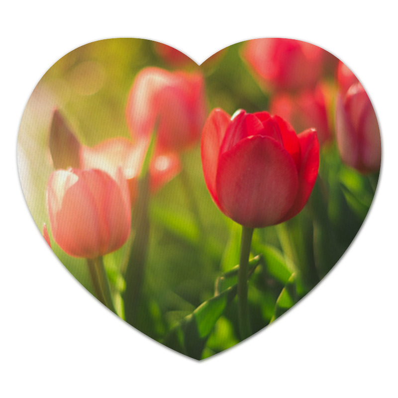 цена Printio Коврик для мышки (сердце) Тюльпаны
