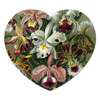 Заказать коврик для мышки в Москве. Коврик для мышки (сердце) Орхидеи Эрнста Геккеля от Apfelbaum - готовые дизайны и нанесение принтов.