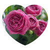 Заказать коврик для мышки в Москве. Коврик для мышки (сердце) Розовые розы от d_ari.design@mail.ru - готовые дизайны и нанесение принтов.