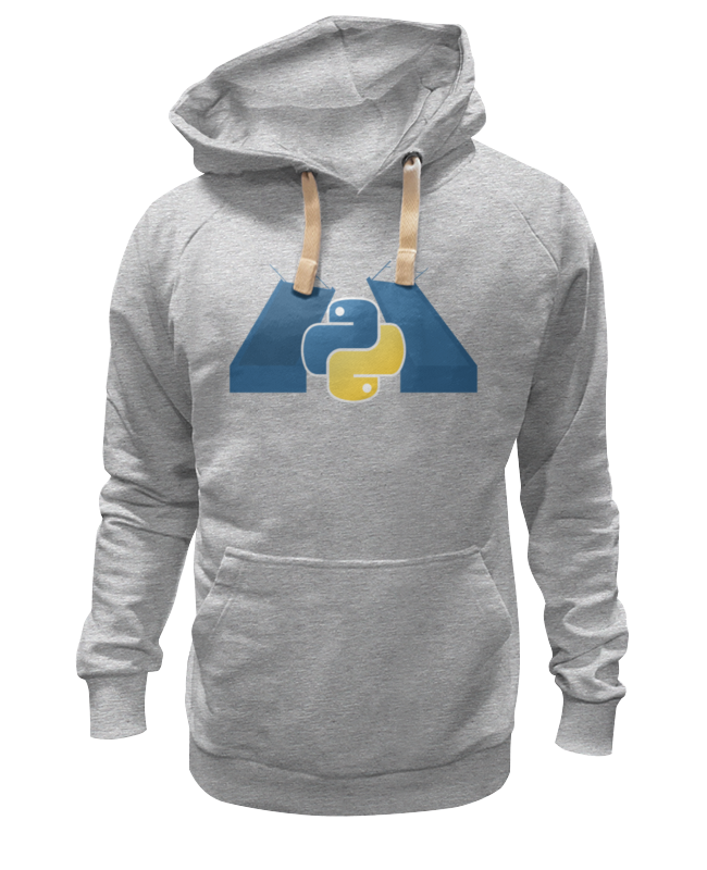 Printio Толстовка Wearcraft Premium унисекс Spb python classic design hoodie