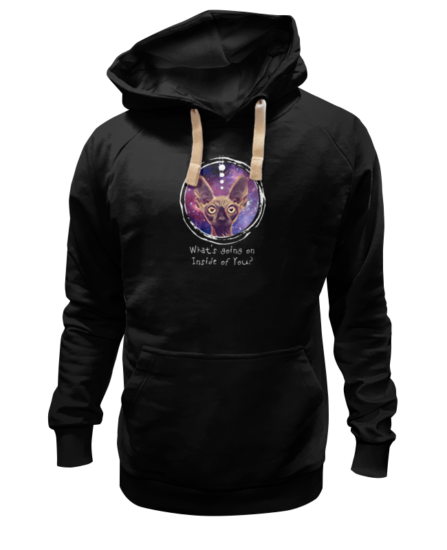 Printio Толстовка Wearcraft Premium унисекс Galaxy cat