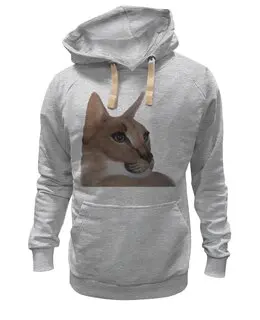 Толстовка Wearcraft Premium унисекс